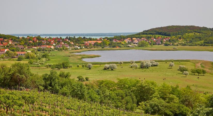 Nagy a baj a Balatonnál: "Ne közelítsék meg a tópartot!"