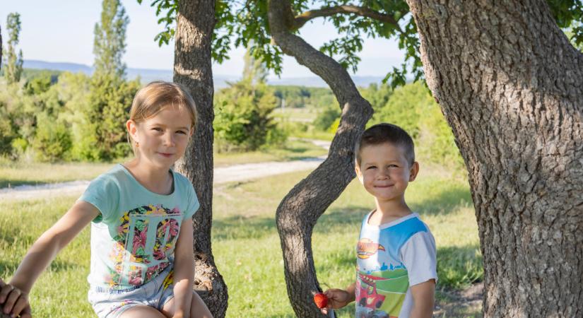 Gyereknapra: Én, Halász Judit és az imposztor-szindróma