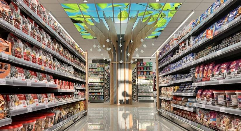 Tovább gömbölyödött az Ecofamily-hálózat: növekvő árbevétel, emelkedő profit, milliárdos osztalék