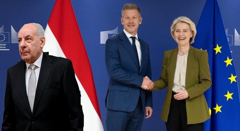 Egy kritika, egy dicséret és Sulyok Tamás méltósága - Selmeci János jegyzete