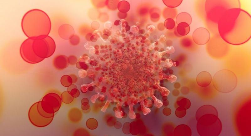 Hepatitis A-fertőzés miatt zártak be egy csoportot a balmazújvárosi óvodában