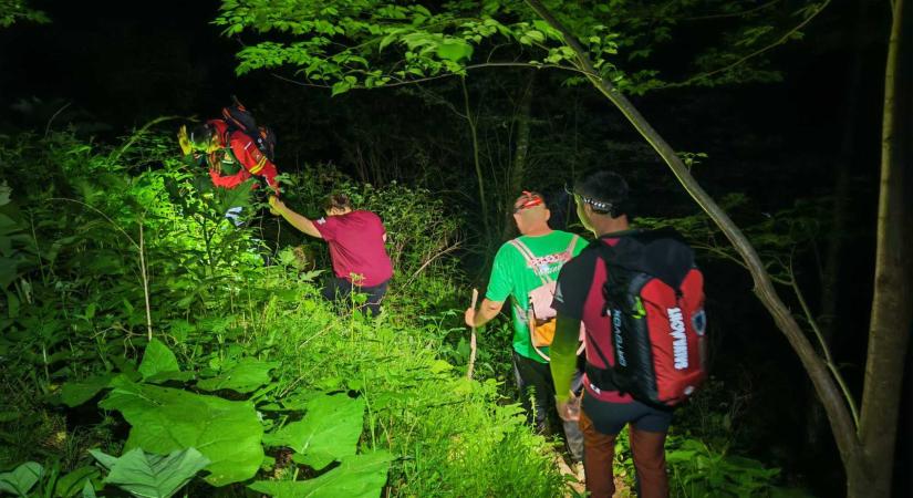 Felszerelés nélküli turisták akadtak el a kanyonban, amelynek környékén medvék is járnak