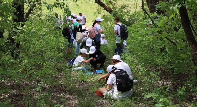 A jövő természetvédői mérték össze tudásukat a Jászkunságban