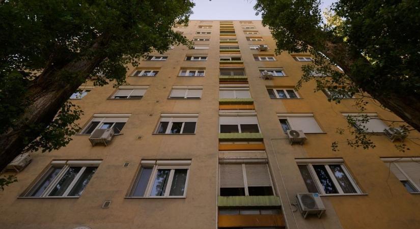 Drámai küzdelem a szegedi panelek között: egy kis vakond próbált kimászni az aszfalt fogságából