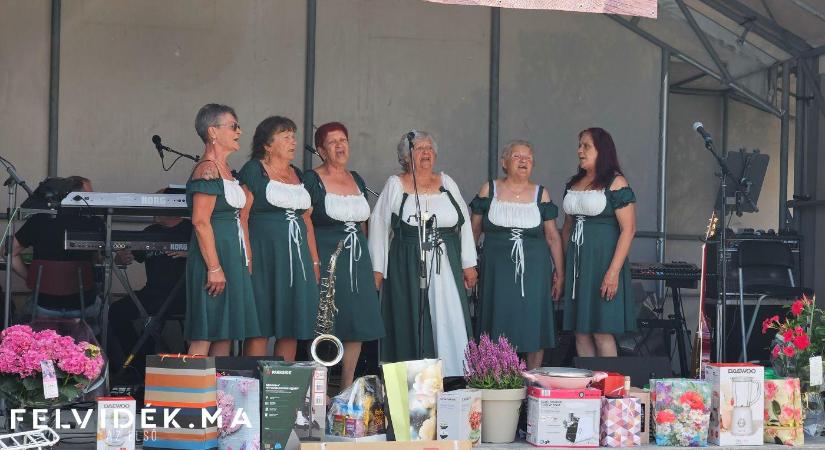 Bodzafesztivált tartottak Bogyán
