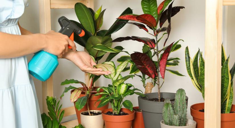 Nyaralni mész és nincs, aki locsolja a virágokat? Ezt tedd indulás előtt!