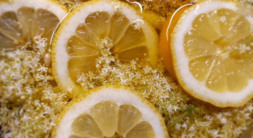 A nyár íze – bodzaszörp fillérekből házilag