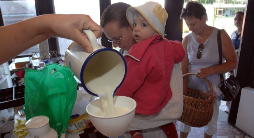 Tejipari válság árnyékában szárnyalnak a vegán alternatívák – így próbál alkalmazkodni a kaposvári tejüzem