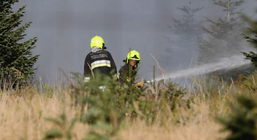 Két hektáron pusztítottak a lángok Nagyigmándnál, egy ember is a nádasban rekedt