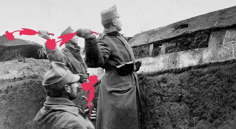 Heti abszurd: Kisföldalatti kómamozgalom