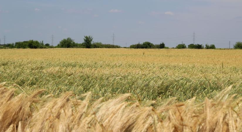 Heti időjárás előrejelzés 2026.06.01. – 2026.06.06.