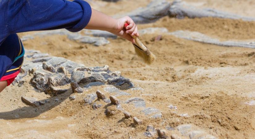 Egy 70 millió éves raptort fedeztek fel – igazi ragadozó volt