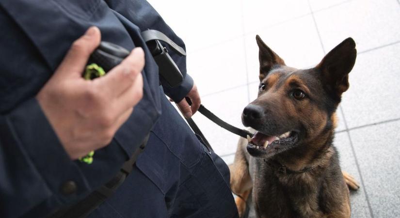 Intenzív rendőri jelenlétre lehet számítani ezen a hajdú-bihari településen, méghozzá ezért...