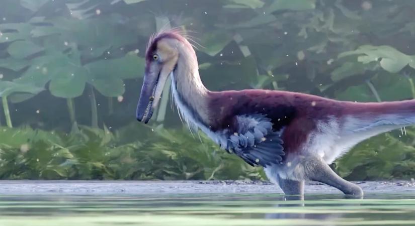A gémekhez hasonlóan vadászhatott egy 70 millió éves dinoszaurusz