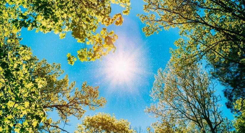 Megmutatja nyárias arcát a június, csapadékot is hozhat