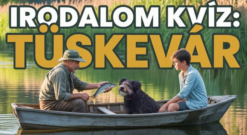 Irodalom kvíz: Mutasd, mennyire emlékszel a Tüskevár című ifjúsági regényre?