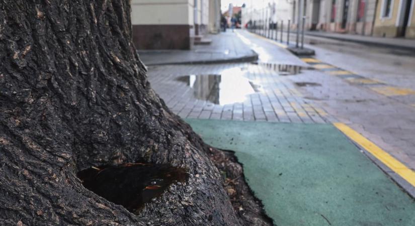 Nem lesz köszönet abban, amit hétfőn kapunk az időjárástól