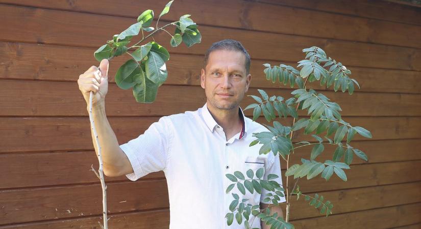 Megmenthetnek minket a növények a klímaváltozástól? Pécsen keresik a választ