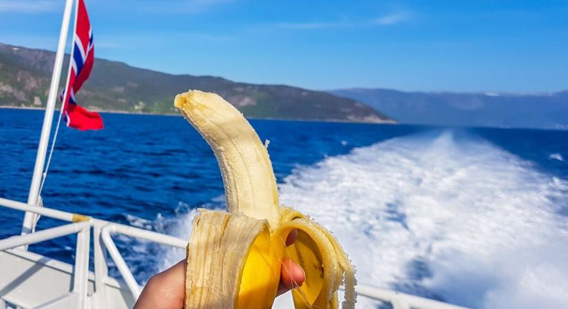 Ezért nem tanácsos banánt vinni a hajóra
