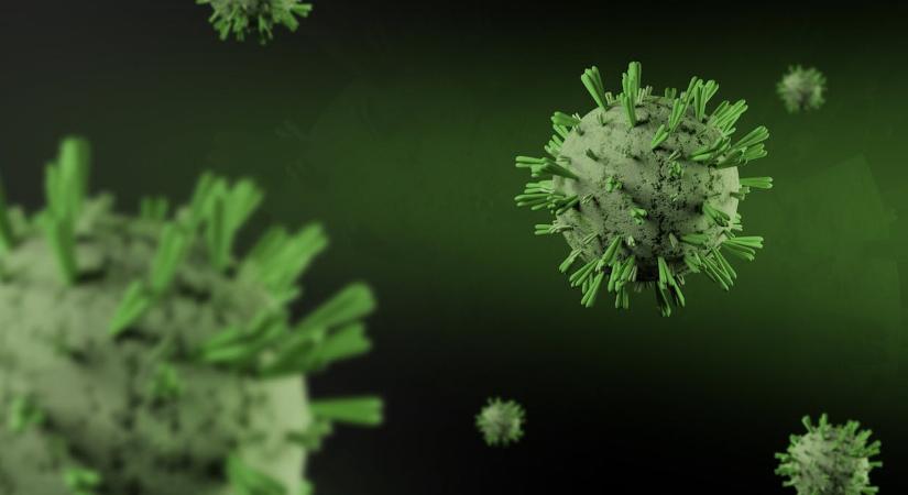 Hepatitis A vírus jelent meg az egyik magyar óvodában
