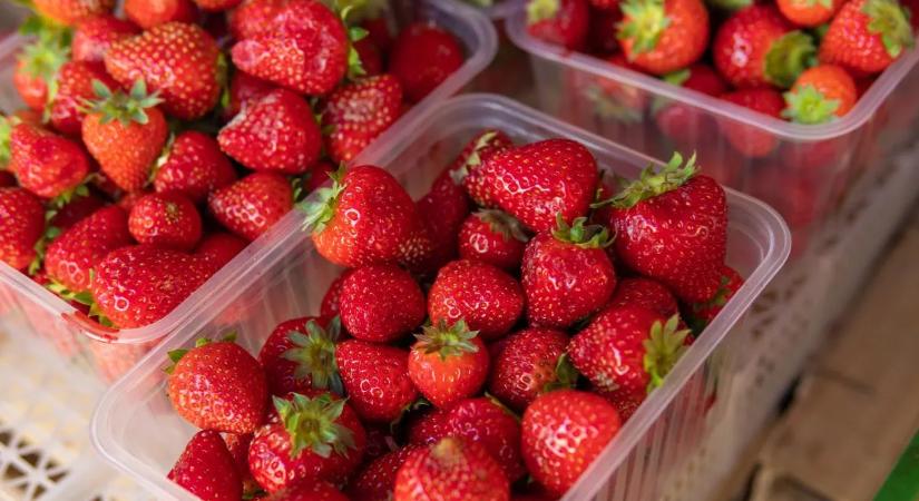 Most érdemes befőzni: ennyivel lett olcsóbb az eper ára!