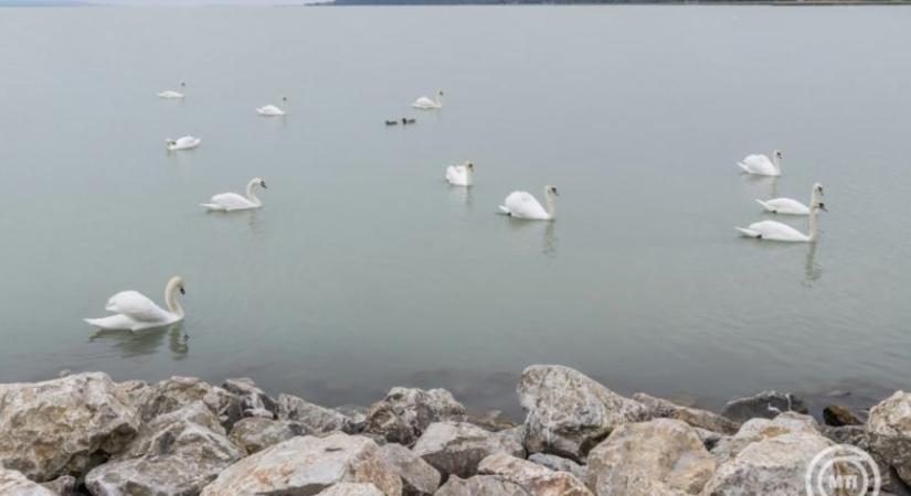 A Balaton önálló régióként való fejlesztését sürgeti a gazdasági és energetikai miniszterhez írt levelében a Balatoni Kör Egyesület
