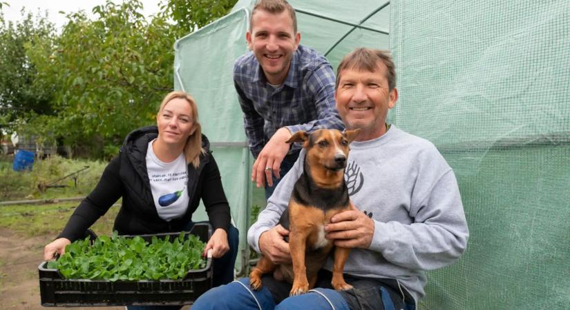 Miért lett luxus a valódi zöldség? – Így térj vissza a szezonális étkezéshez