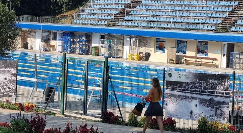 Friss hírek a Gyémánt Fürdőből: ez vár az uszodára a vadmalac vízbefulladása után
