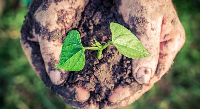 Kiút a szervesanyag-vesztésből, talajaink jövője a mi kezünkben van – Jelentkezz a hazai SOILATHON innovációs versenyre