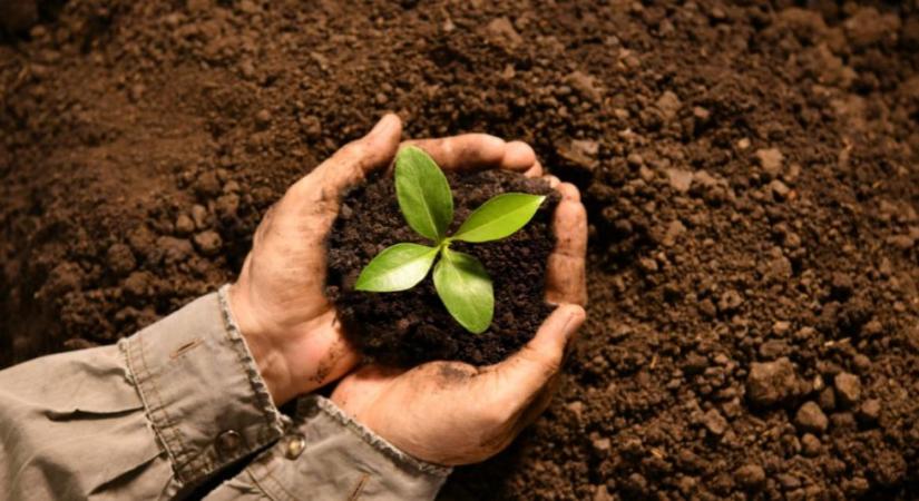 SOILATHON innovációs verseny: megoldások a talaj szénvesztésére
