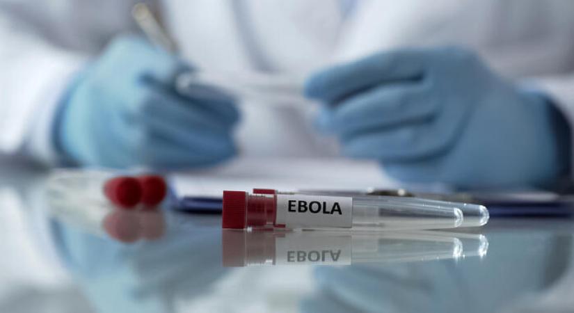 Már három ebola-vakcinán dolgoznak gőzerővel