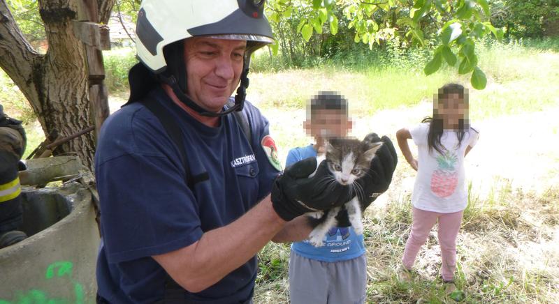 Cicát is mentettek a tűzoltók a hétvégén