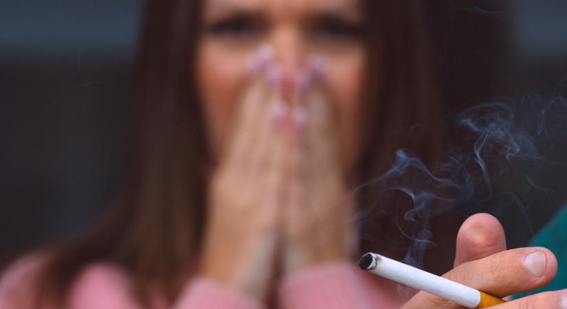 7 veszélyforrás a lakásban, ami tönkreteszi a tüdőt – Nem hinnéd, mi minden lehet ártalmas