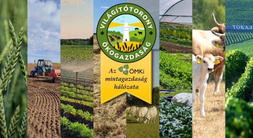 Elindítja a Világítótorony Ökogazdaságok Hálózatát az Ökológiai Mezőgazdasági Kutatóintézet