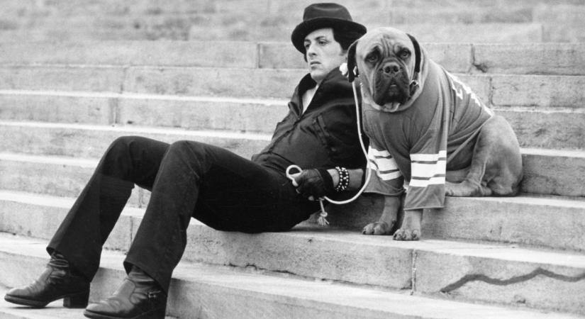 Rengeteg pénzt utasított vissza Stallone, mert hitt az álmában