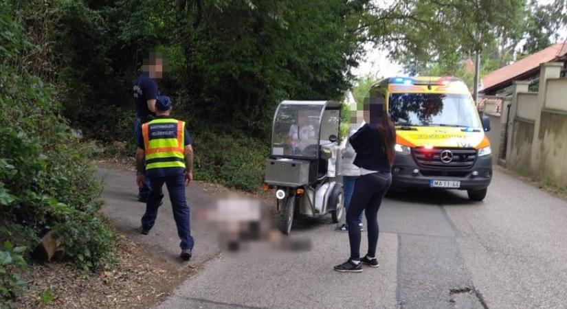 Ájultra harapdált egy kiszökött kutya egy postást a III. kerületben