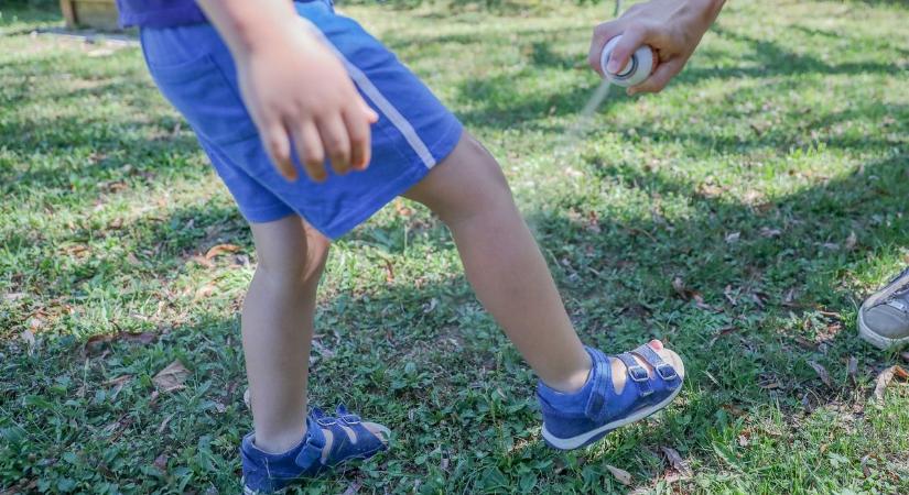 Elviselhetetlen szúnyoghelyzetről panaszkodnak Szombathelyen – megkérdeztük, lesz-e gyérítés Vasban