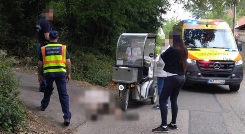 Brutális kutyatámadás Óbudán: nekiesett a postásnak egy elszabadult eb