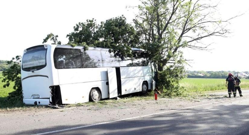 Halálos buszbaleset: újabb megrázó részletek derültek ki a tragédia után