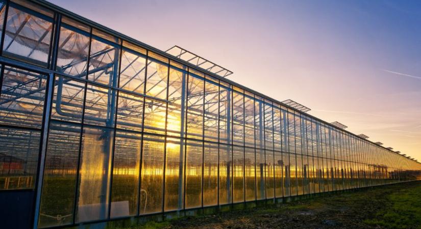 Akár 10 milliót is lehet kapni a hamarosan megnyíló pályázattal