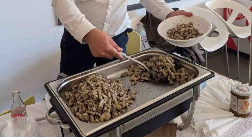 Aki begyerőre vágyna, jobb ha tudja, az most már védjegyes különlegesség