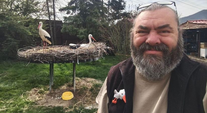 Videón az ennivaló gólyafiókák - a Lenin után elnevezett legkisebb is épségben van