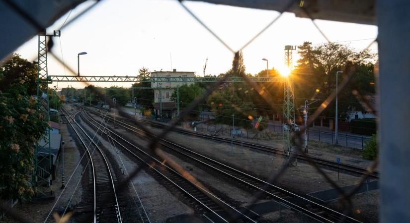 Azonnali hatállyal menesztették a MÁV Szolgáltató Központ Zrt. vezérigazgatóját