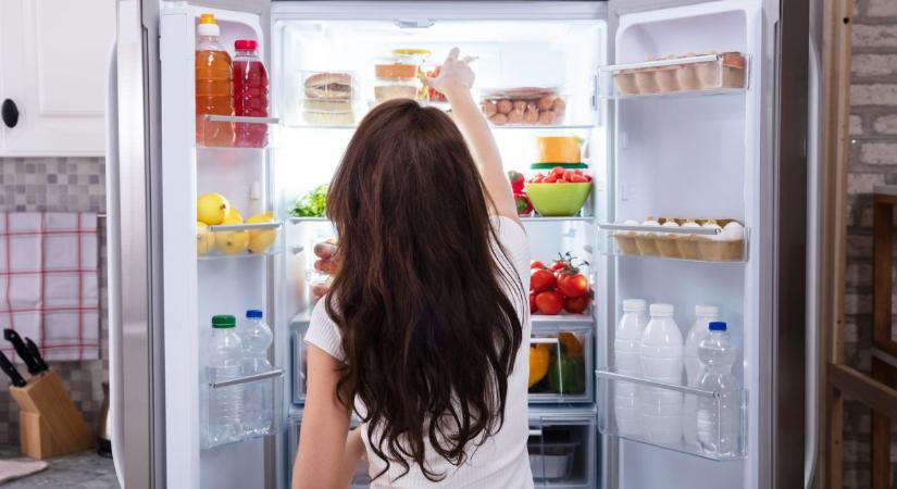 Nyári kánikula és a hűtőszekrény: így óvhatjuk a készüléket a túlterheléstől