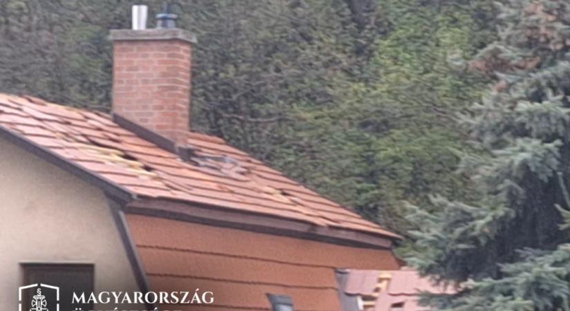 Betépve ugrált a háztetőkön, aztán jöhetett az eresz