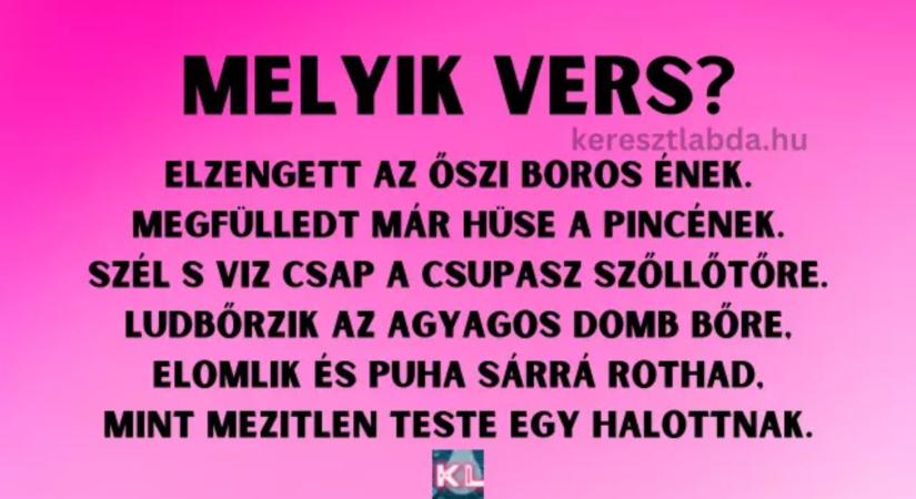 Napi irodalom feladat: Ősz és tavasz között, kötelező volt, de tudod, kinek a tolla?