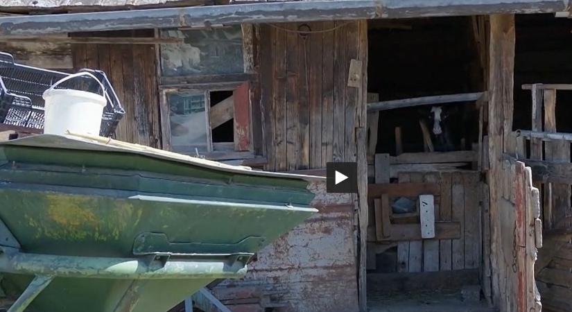 A sorsra bízta a lánya életét a nyírbátori asszony, tragédia lett a vége