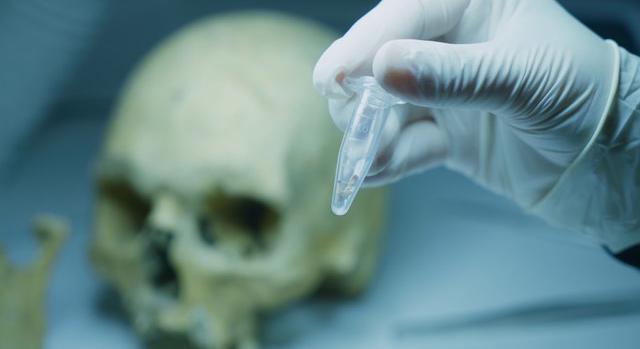 Genetikailag is elemezték az Akasztónál talált honfoglaló harcosokat