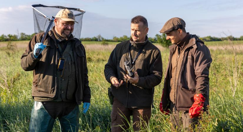 Korszerű eszközök segítik az őzgidák mentését a kaszálási időszakban