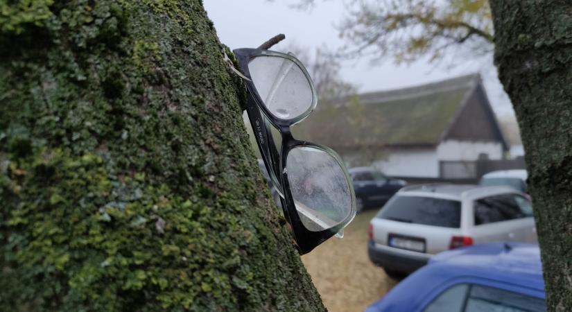 A szemüveg, amely megállt pihenni